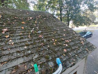Moss on roof before treatment
