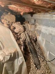 Crawl Space Problems