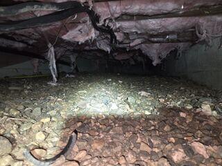 Damp Crawl Space