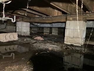 The presence of a high water table, combined with the absence of a proper moisture barrier between the soil and the structure, resulted in persistent standing water within the basement. The use of cinderblocks as support elements proved inadequate for bearing the structural loads from the floors above. Prolonged exposure to moisture in the crawl space led to biological deterioration, including mold growth and wood rot. This is visibly evidenced by the degradation of the main support beam, as shown in the accompanying photo.