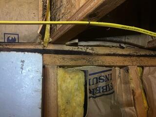 Before CleanSpace© - A Moldy Crawl Space