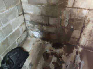 During the inspection, water is observed seeping through the concrete block walls and onto the floor. Without mitigation, this will lead to structural issues, such as wall failure.