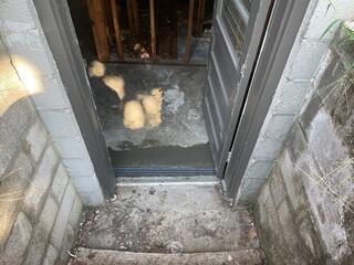 Trench Drain Install Complete