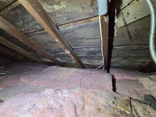 It's no secret mice love fiberglass insulation. This attic had a lot of issues, step one is to clear out the old insulation to expose the entire floor.