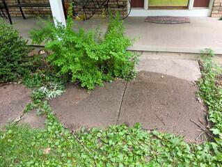 East Moline, IL Concrete Leveling
