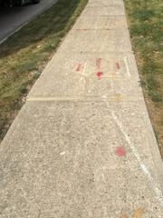 After Sidewalk Repair