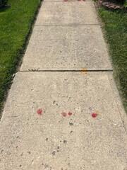 Before Sidewalk Repair