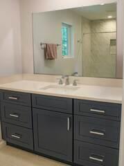 Sink & Cabinets