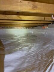 Isolating CleanSpace Liner