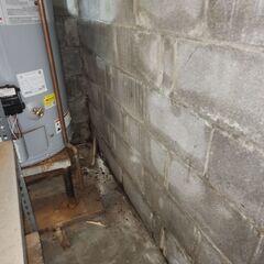 Basement During Inspection