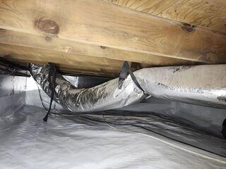 Crawl Space Mold Treatment in Bristol, VA