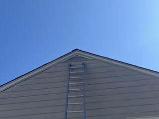 The squirrels were squeezing through the gable vent right here and entering the home.