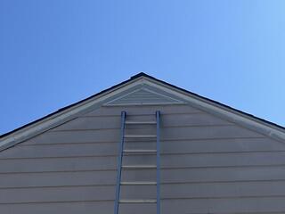 Protected from the Squirrels