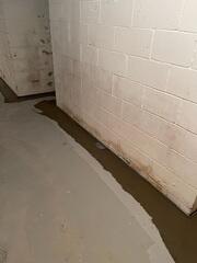 WaterGuard System