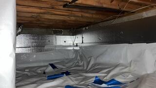 SilverGlo™ Insulation