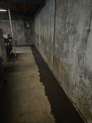 Basement (Right Side)