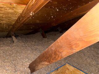 New Trufoam cellulose insulation