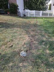 Here is the LawnScape™ that our team installed. The LawnScape is designed to drain the excess water that's seeping into the basement's wall/floor joints.