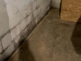 Basement During Inspection