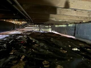 The Crawl Space Before