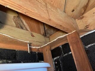 Wet Joists