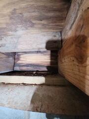 Wet Crawl Space Wood