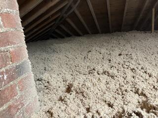 Eco-Friendly and Mold Resistant