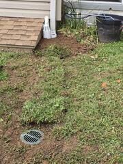 Resolving Water Intrusion In Havre De Grace, MD