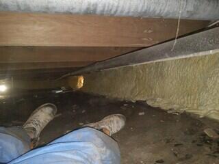 Dirt Floor
