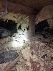Transforming a Neglected Crawl Space- Eugene, OR