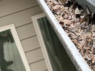 Clogger Gutters