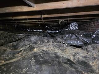 Bad Liner in the Basement