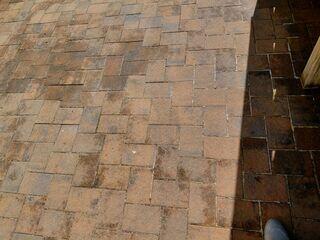 Paver walkway before cleaning