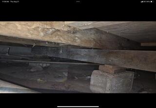 Saturated Crawl Space Wood