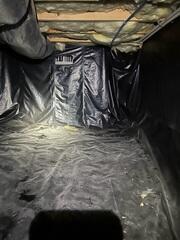Crawl Space During Inspection