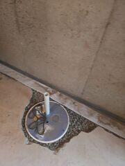 SuperSump and WaterGuard