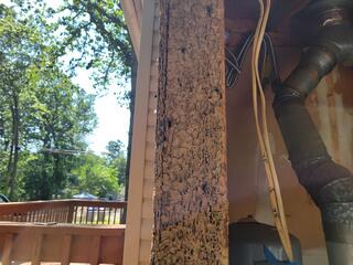 How the Termiticide Works