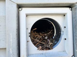 In total, there were over 12 vents that were clogged with nesting debris from the nuisance birds.