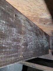 Crawl space moisture leads to mold, which then leads to rot.