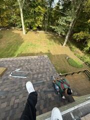 The New Shingles Go On