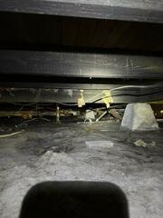 Moisture Intrusion Symptoms