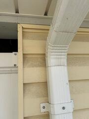Mold Growth