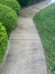 Concrete walkway before cleaning