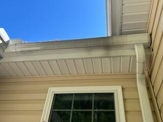 The gutters on this home were covered in dark streaks caused by years of grime buildup.