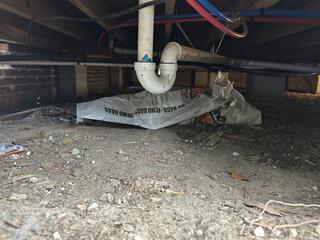 Encapsulation in Valdosta, GA