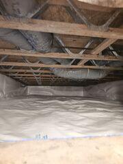 Crawlspace (Whole View)