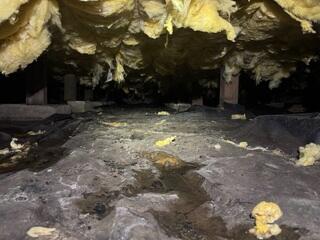 Encapsulation Transformed this Neglected Crawl Space- Eugene, OR