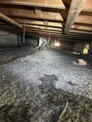 An inspection by an LRE Design Specialist revealed that the crawl space lacked an effective moisture control system, leaving it vulnerable to moisture damage and mold growth.