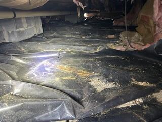 Damp Crawl Space