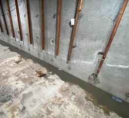 WaterGuard Drainage System & WaterGuard Port
